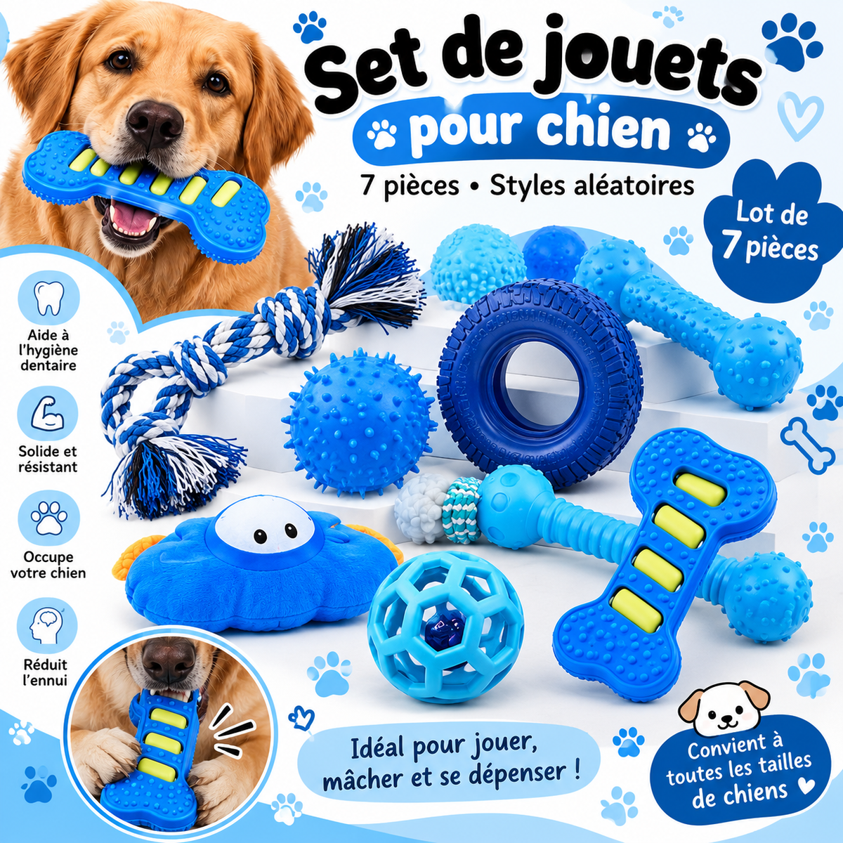 Set de 7 jouets pour chien – Lot de jouets résistants
