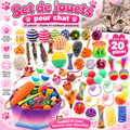 Set de 20 jouets pour chat – Lot de jouets colorés